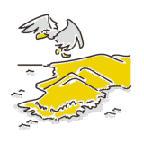 株式会社ホーブ【1382】の現状と今後を第39期有価証券報告書から探る