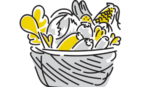 株式会社ファーマフーズ【2929】の現状と今後を第28期有価証券報告書から探る